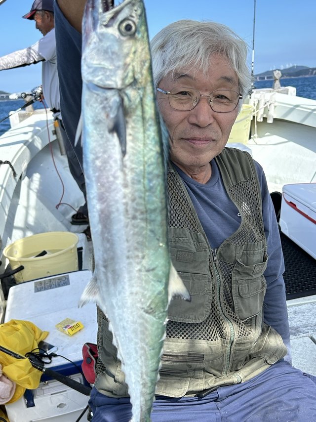 サゴシ(サワラ)