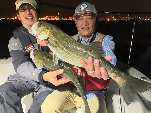 シーバス(スズキ)