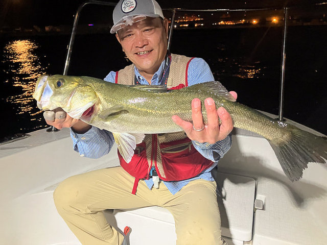 シーバス(スズキ)