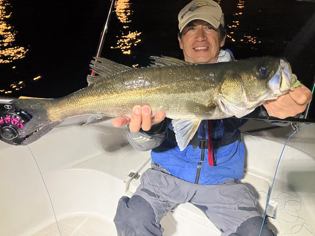 シーバス(スズキ)