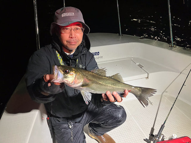 シーバス(スズキ)