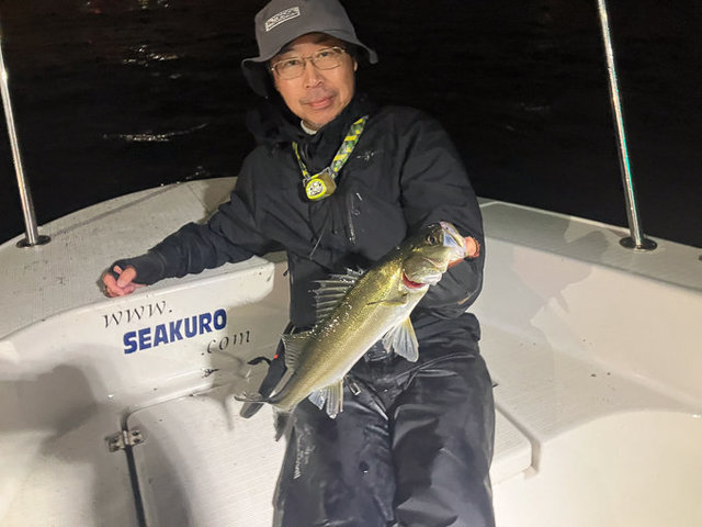 シーバス(スズキ)