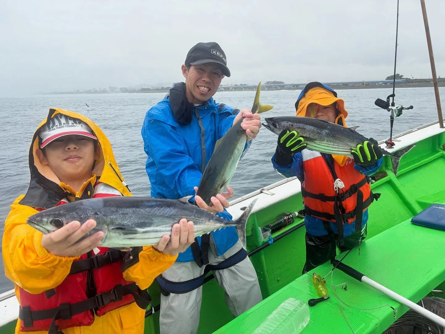 イナダ(ブリ)・カツオ