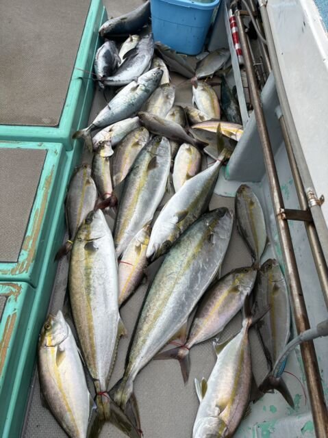 ヒラマサ・カンパチ