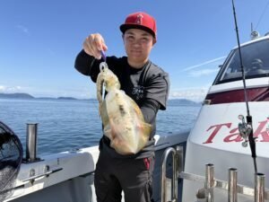 アオリ(アオリイカ)