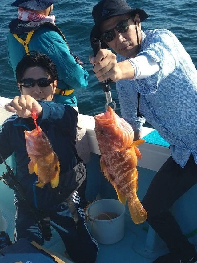 アコウ(キジハタ)