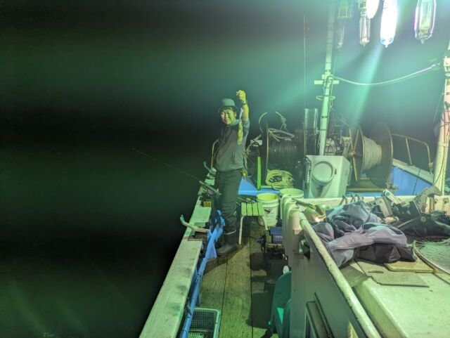 アオリ(アオリイカ)