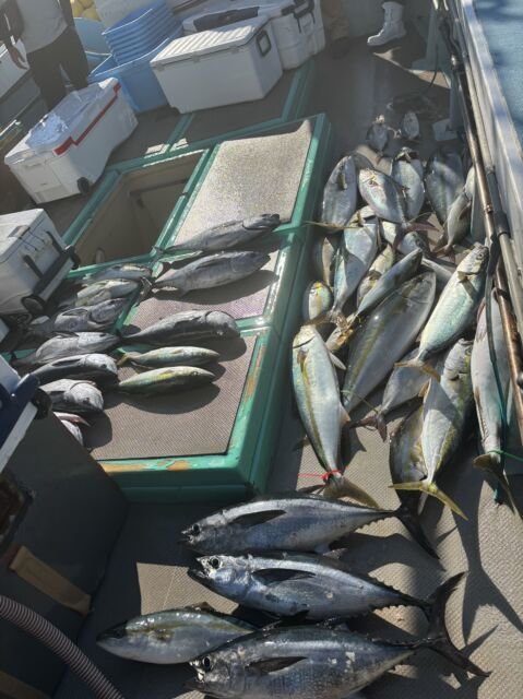 ヒラマサ・コシナガ