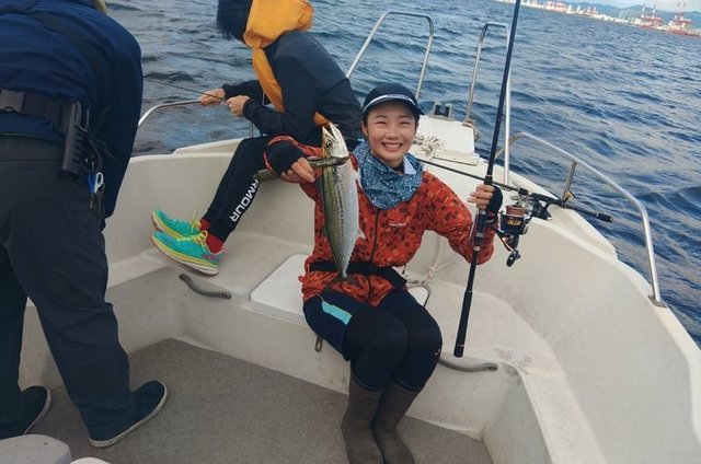 サゴシ(サワラ)