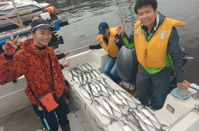 サゴシ(サワラ)