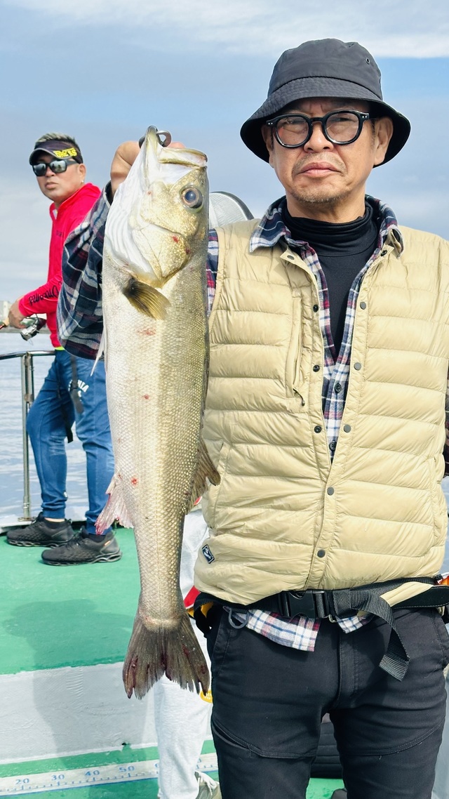 シーバス(スズキ)