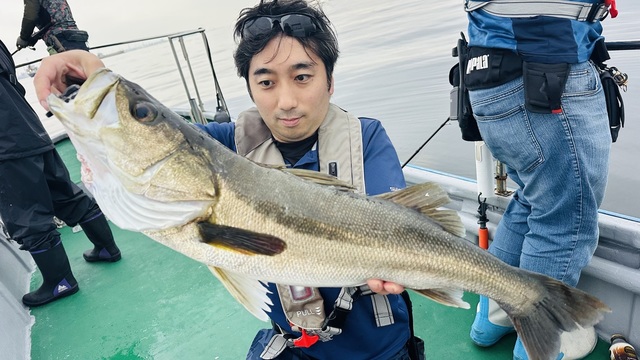 シーバス(スズキ)