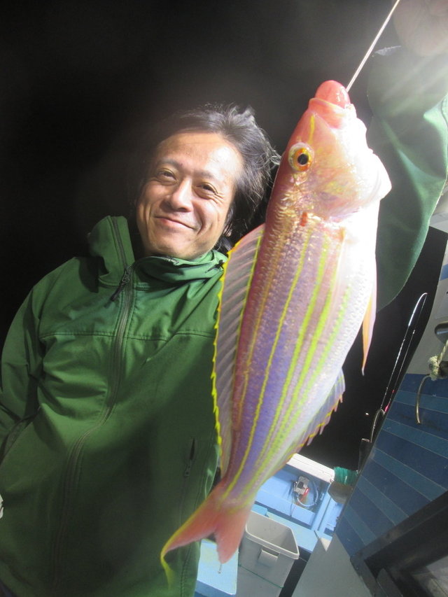 イトヨリ(イトヨリダイ)