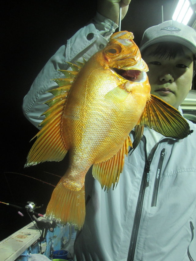 キントキ(チカメキントキ)