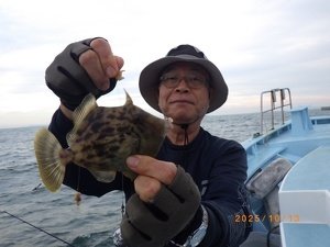 カワハギ