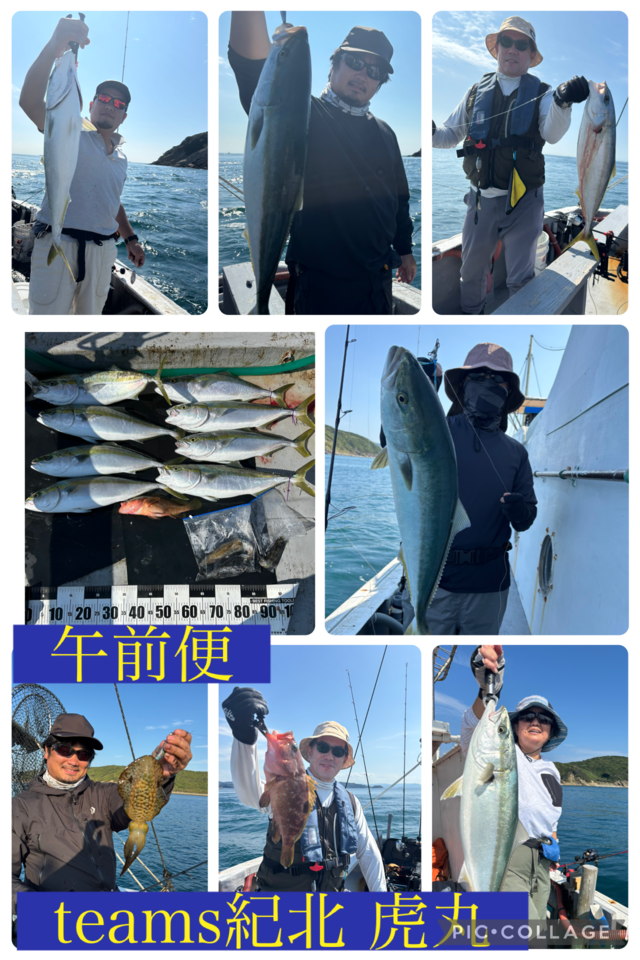 キジハタ・メジロ(ブリ)・アオリイカ