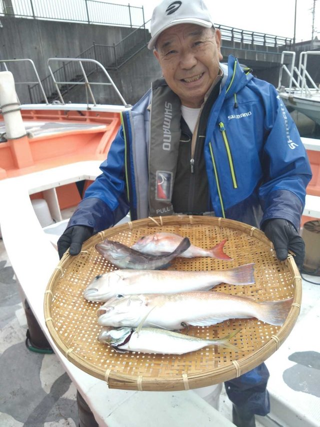 マダイ・マハタ・アジ(マアジ)・シロアマダイ