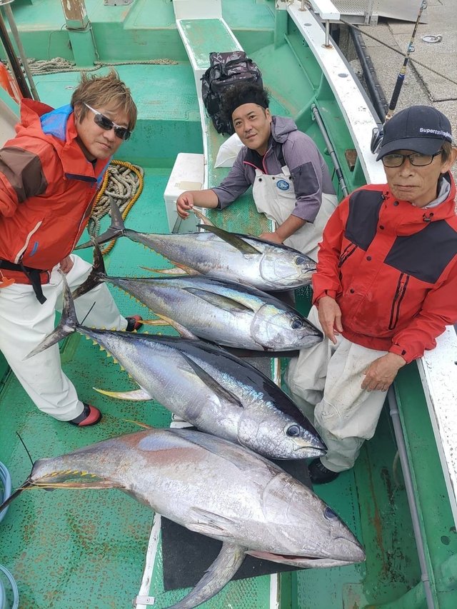 マグロ(キハダ)