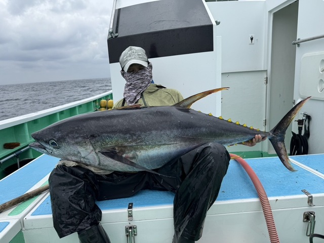 マグロ(キハダ)