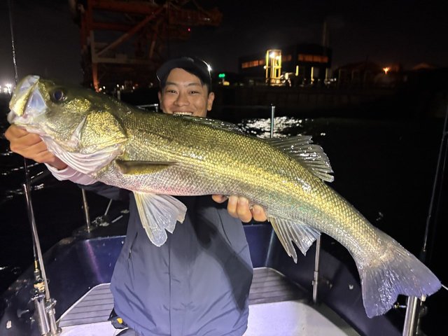 シーバス(スズキ)