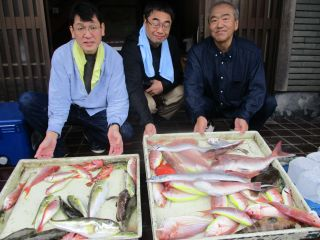 マダイ・マハタ・イトヨリ(イトヨリダイ)・サバフグ(シロサバフグ)