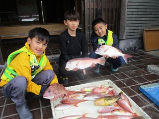 マダイ・アオハタ・アマダイ(アカアマダイ)・イトヨリ(イトヨリダイ)・カサゴ・ホウボウ