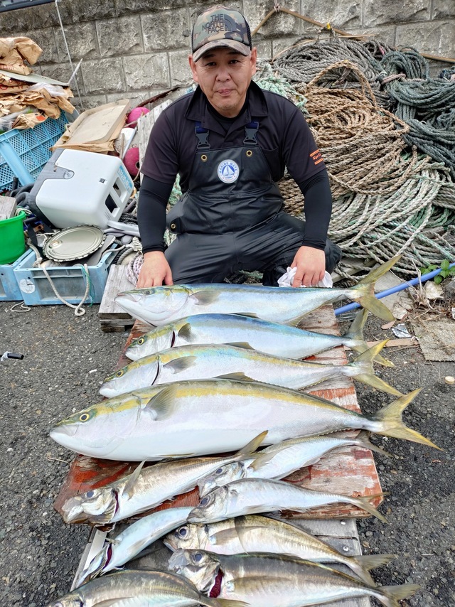 アジ(マアジ)・ワラサ(ブリ)