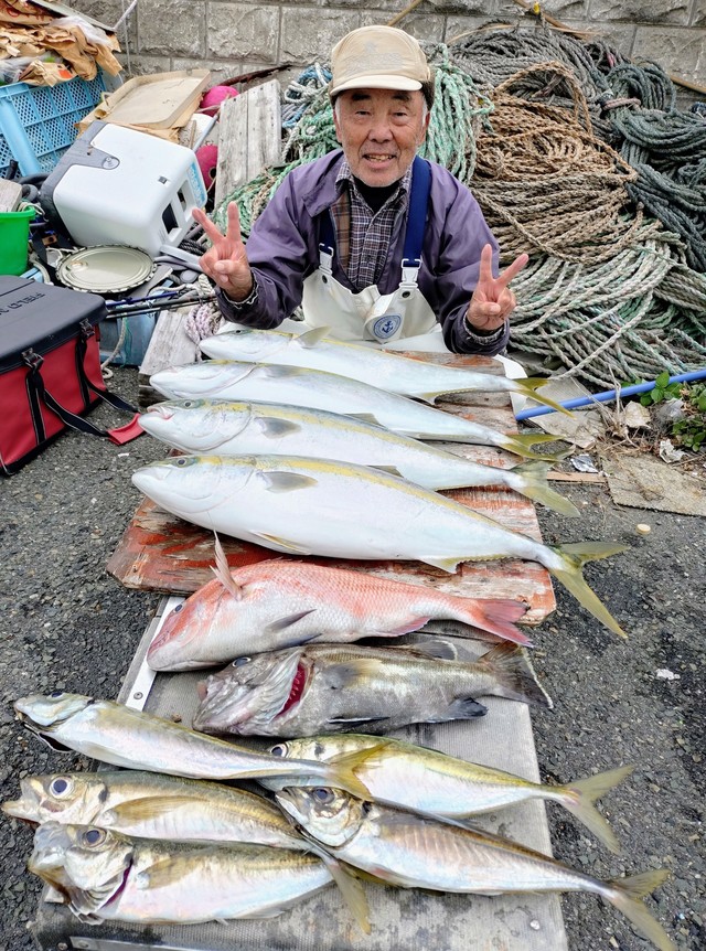 マダイ・アジ(マアジ)・ワラサ(ブリ)