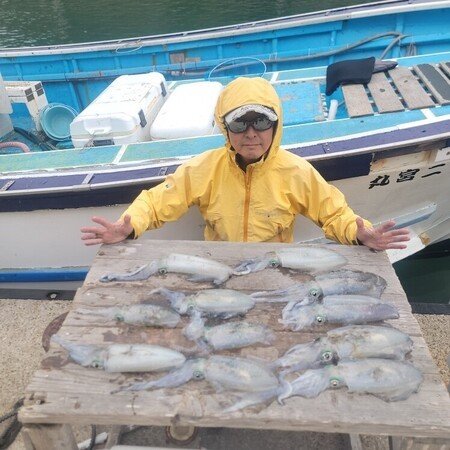 アオリ(アオリイカ)