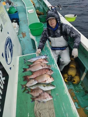 マダイ・イナダ(ブリ)・ヒラソウダ