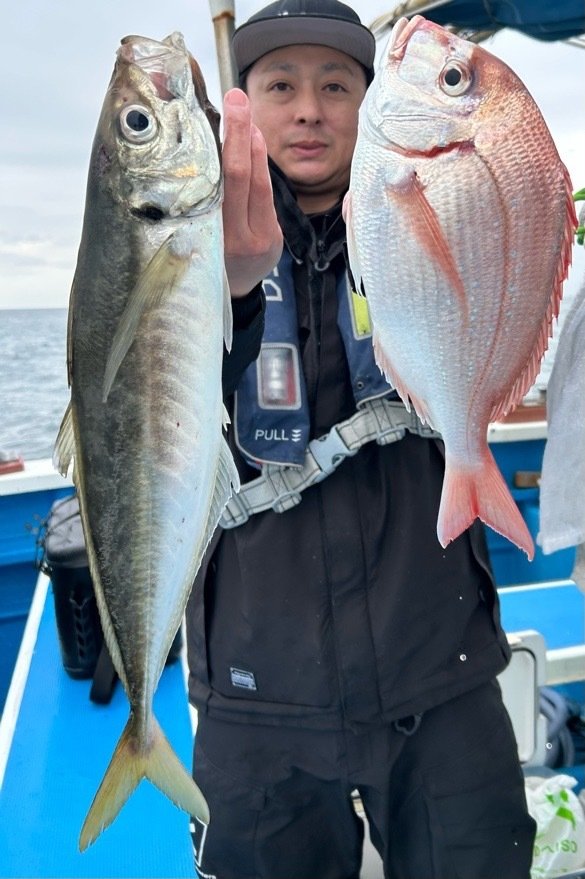 マダイ・アジ(マアジ)