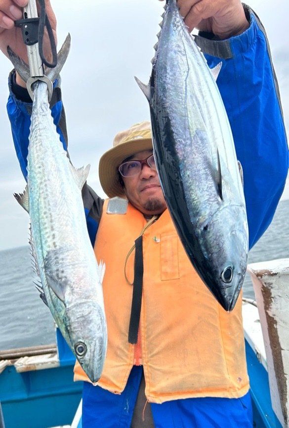 ホンガツオ(カツオ)・サゴシ(サワラ)