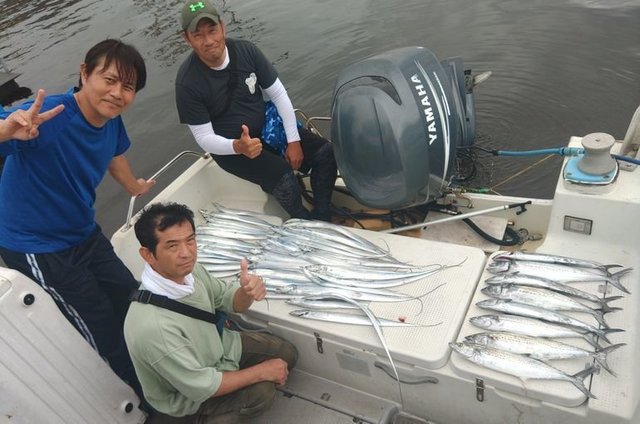 サゴシ(サワラ)・タチウオ