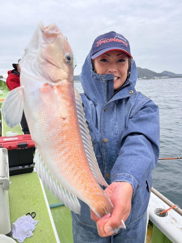 アマダイ(アカアマダイ)