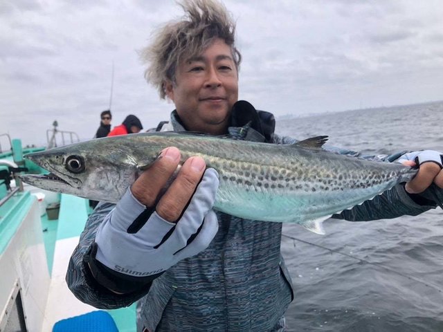 サゴシ(サワラ)