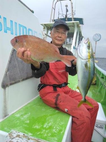 マダイ・イナダ(ブリ)