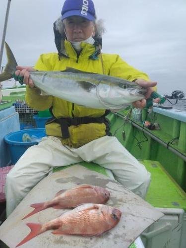 マダイ・イナダ(ブリ)