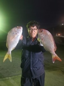 ハナダイ(チダイ)