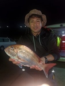 ハナダイ(チダイ)