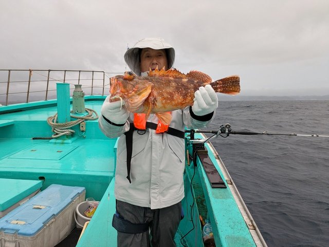 オニカサゴ(イズカサゴ)