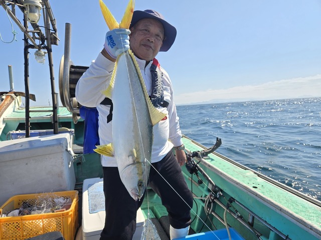 ヒラス(ヒラマサ)