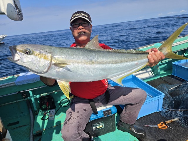 ヒラス(ヒラマサ)