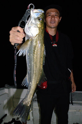 シーバス(スズキ)