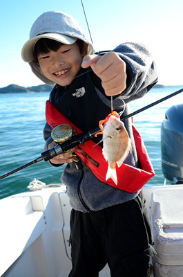 チャリコ(マダイ)