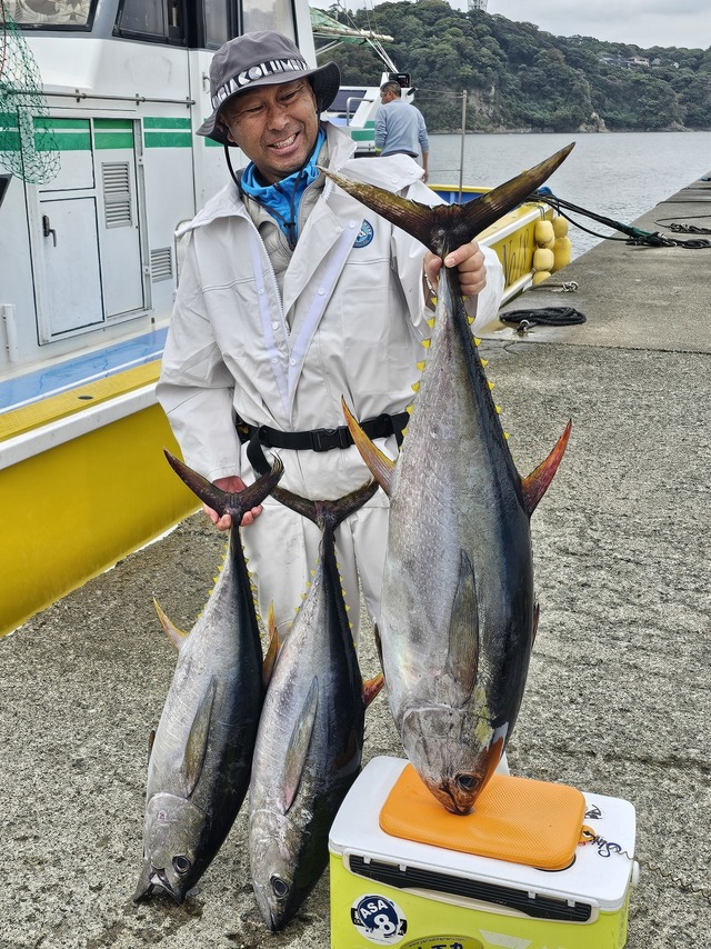 キメジ(キハダ)