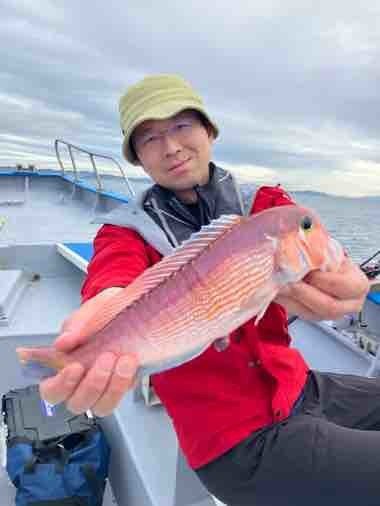 アマダイ(アカアマダイ)