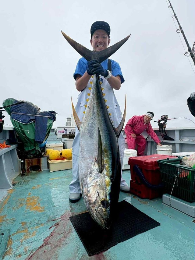 キハダマグロ(キハダ)