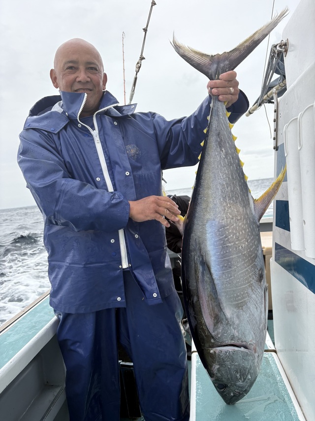 キハダマグロ(キハダ)