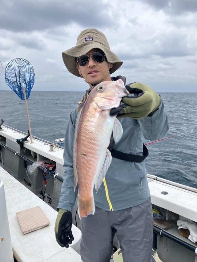 アマダイ(アカアマダイ)