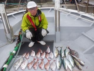 マダイ・イナダ(ブリ)・イサキ